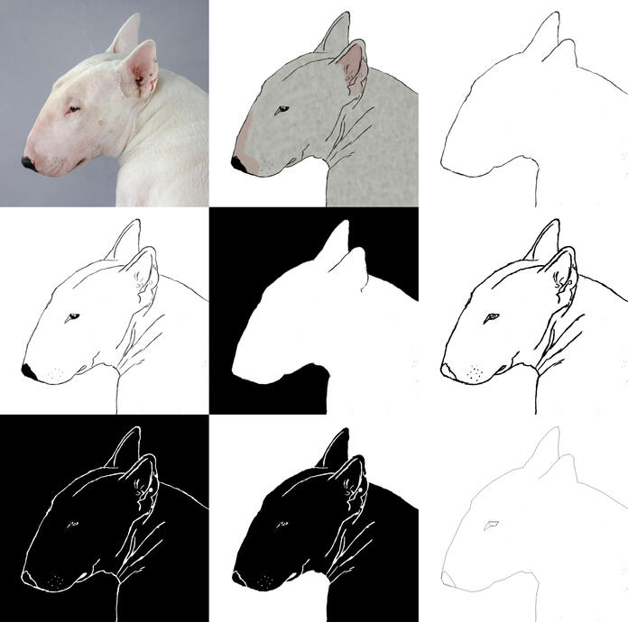 Dibujo y variaciones: Bull terrier