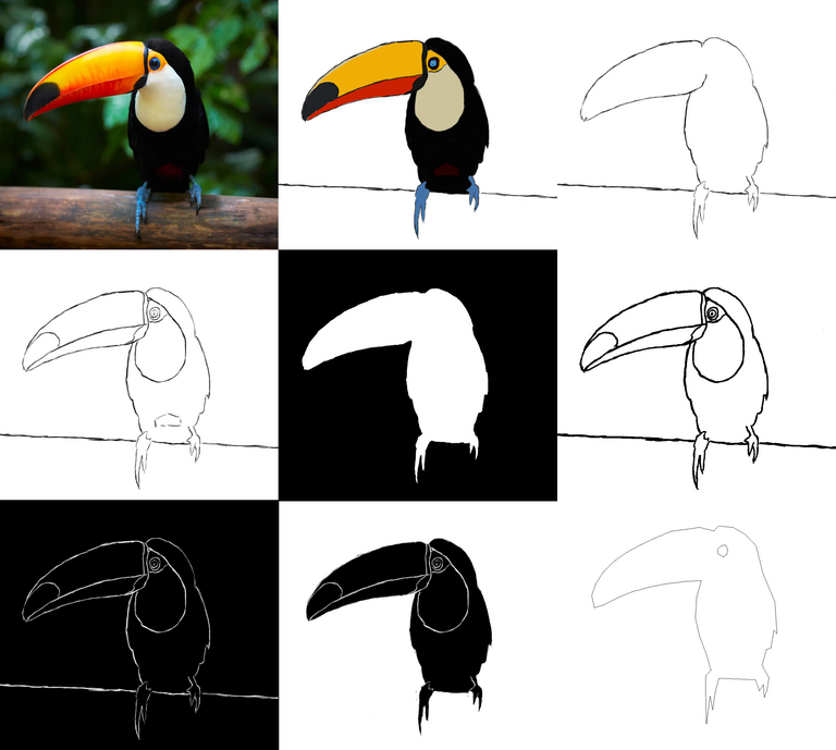 Dibujo y variaciones: Tucán